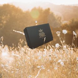 Mass Produced Custom Designed Indie Summer