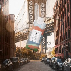 Mass Produced Custom Designed Mediator Gram