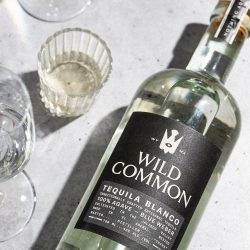 wild common bottle photography 7 colony