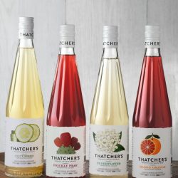 Thatchers_Liqueur_Package_Logo_Design_Primary